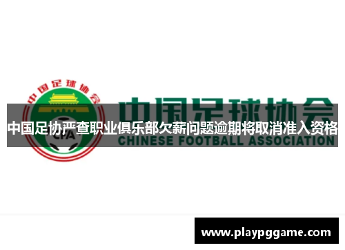 中国足协严查职业俱乐部欠薪问题逾期将取消准入资格 中国足协严查职业俱乐部欠薪问题逾期将取消准入资格